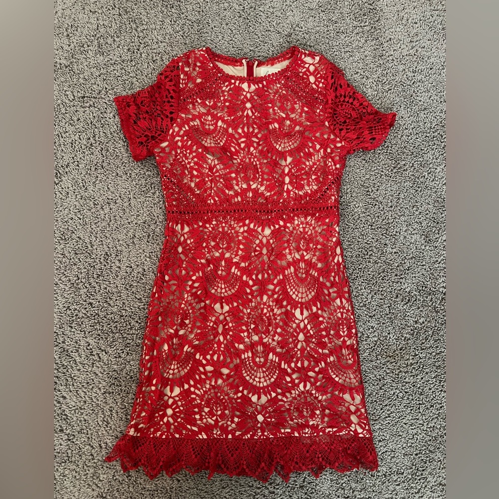 Red Lace Dress from Vici